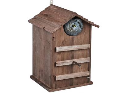 Grand abri pour rapaces nocturnes