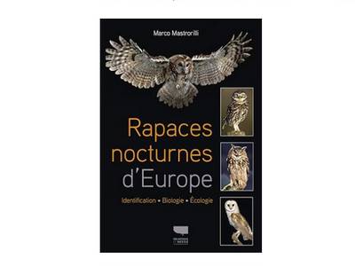 Guide d'identification rapaces