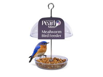 Mangeoire à fixer à la fenêtre